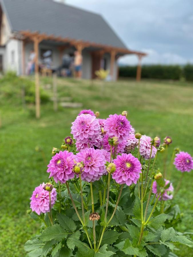 Apartmany U Mateje Dolní Morava Esterno foto
